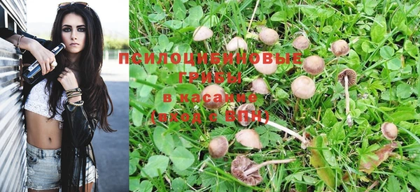 мдпв Елабуга