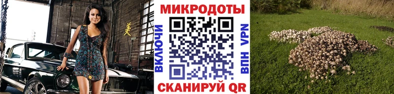 Купить где  Конаково  Псилоцибиновые грибы Magic Shrooms 
